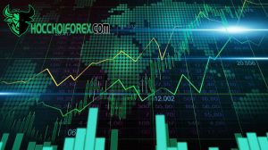 Forex trading là gì Giới thiệu mọi thứ cần biết về giao dịch forex