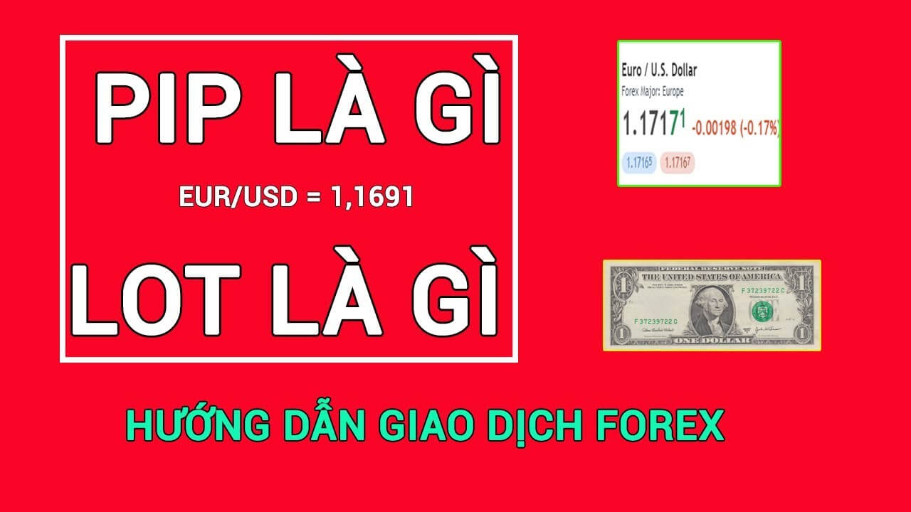 Khái Niệm PIP Và LOT Là Gì? Cách Tính PIP Và LOT Trong Forex -  Hocchoiforex.com