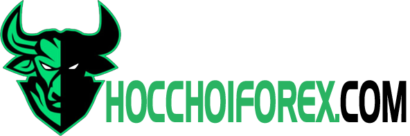 logo hocchoiforex.com