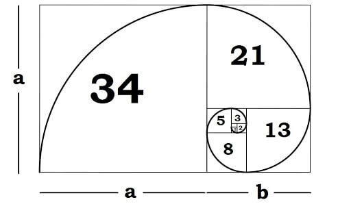 Tìm hiểu dãy Fibonacci là gì?