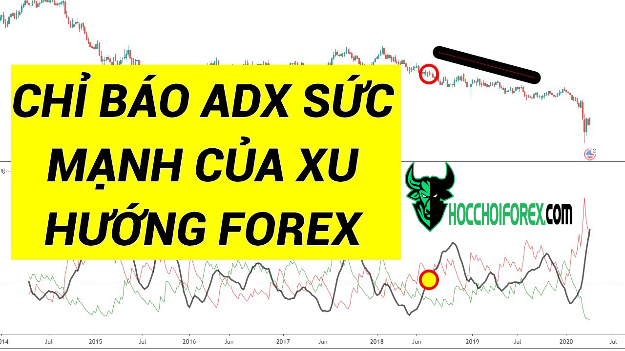 Giới thiệu về chỉ báo adx và tầm quan trọng của nó trong forex