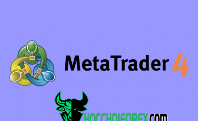 Metatrader 4 là gì Hướng dẫn cách dùng và tải MT4 mới nhất
