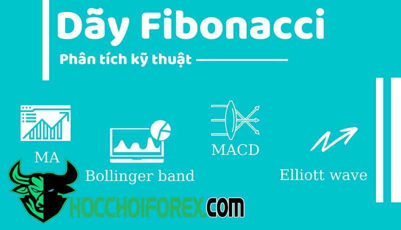 Tìm hiểu dãy Fibonacci là gì và cách sử dụng của nó