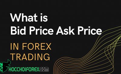 Tìm hiểu Bid và ask là gì trong giao dịch Forex