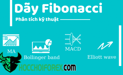 Tìm hiểu dãy Fibonacci là gì và cách sử dụng của nó
