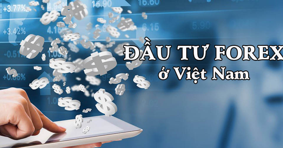 Hãy tham gia đầu tư thị trường Forex ở Việt Nam