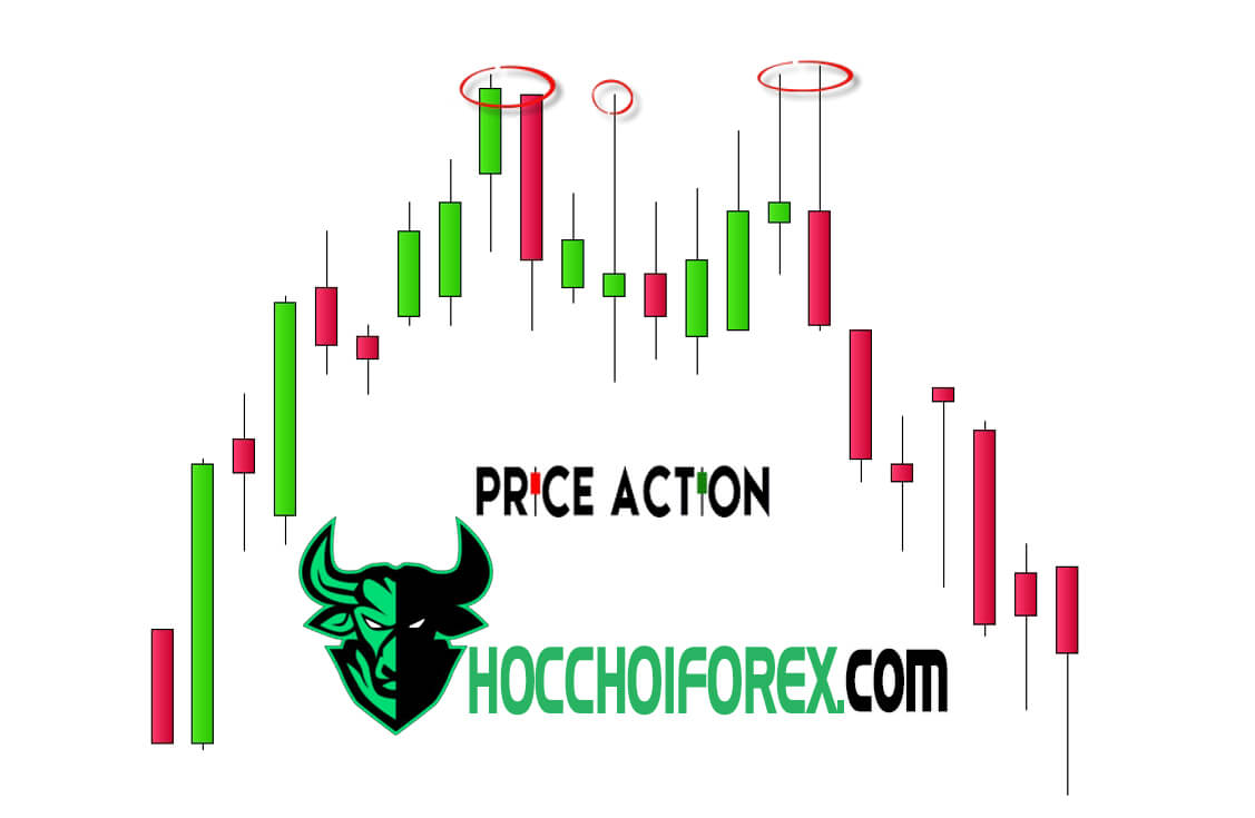 Price action là gì Kỹ thuật cần phải biết cho người mới bắt đầu