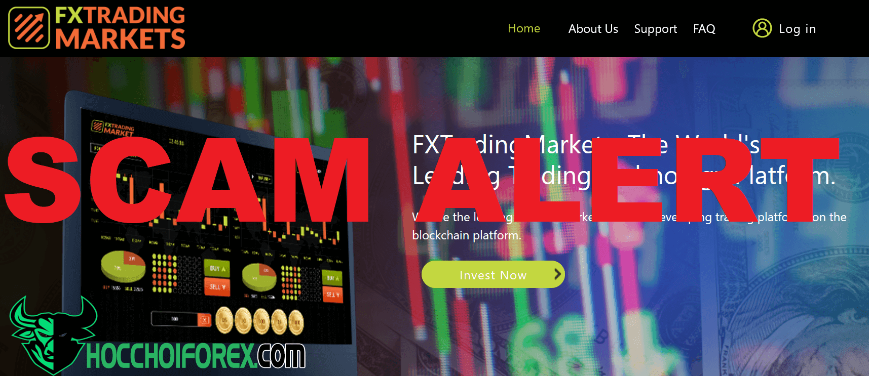 Sàn FX Trading Markets có lừa đảo không REVIEW mới nhất về sàn giao dịch này