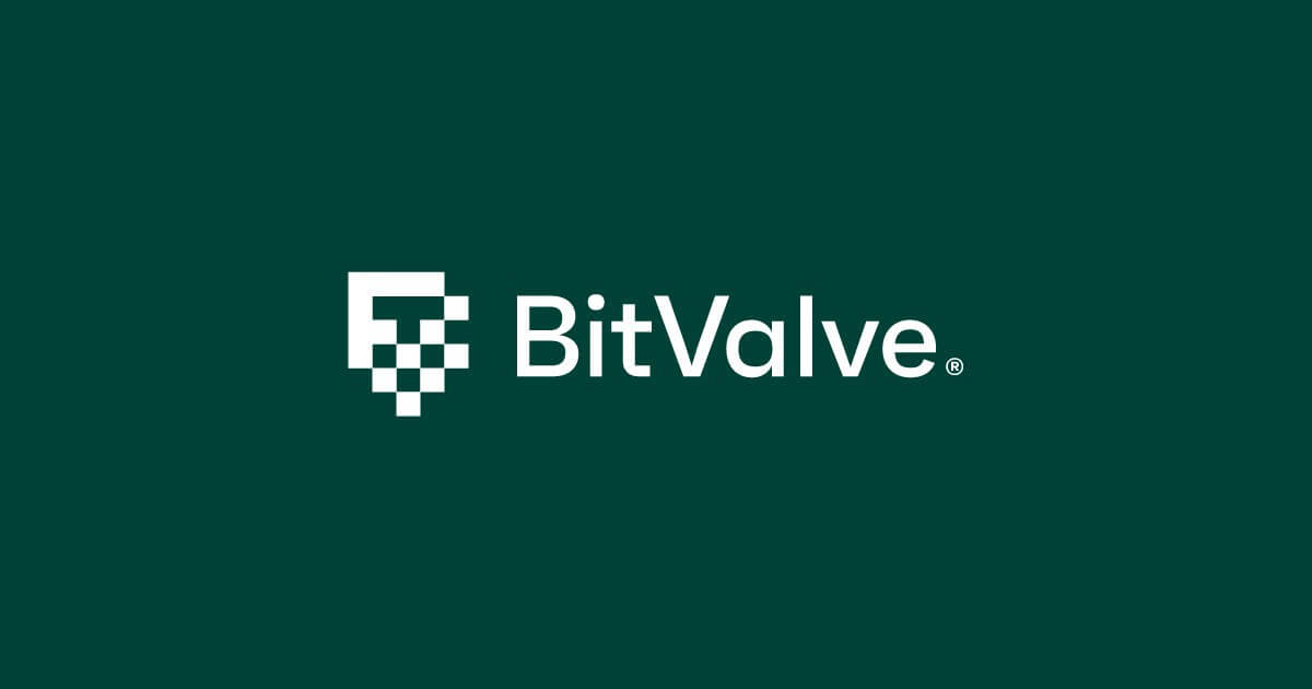 Đồng BitValve – BTV hứa hẹn cho những coin sắp lên sàn 2021